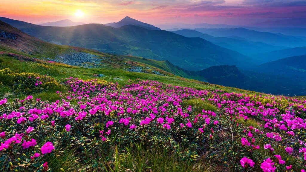 Valley of Flowers Trek Tour Package